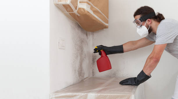 Professional Mold Cleanup technician working in Sand Lake, MI