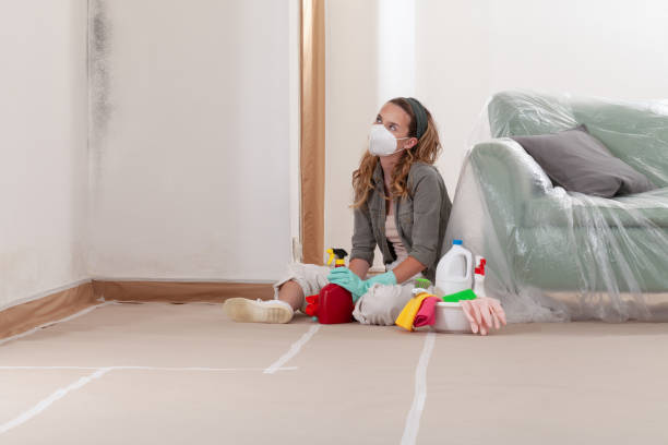 Reliable Mold Cleanup contractor in Sand Lake, MI by Cheap Mold Removal